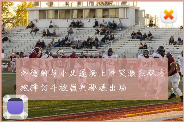 加德纳与小皮蓬场上冲突激烈双方抱摔打斗被裁判驱逐出场