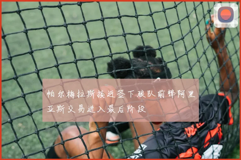 帕尔梅拉斯接近签下狼队前锋阿里亚斯交易进入最后阶段