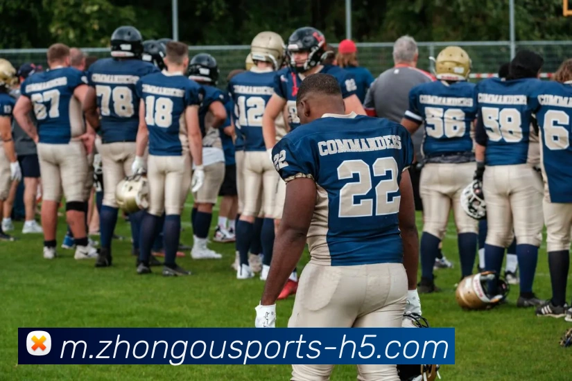 App Interface Preview