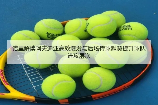 诺里解读阿夫迪亚高效爆发与后场传球默契提升球队进攻层次 - ZOSPORTS